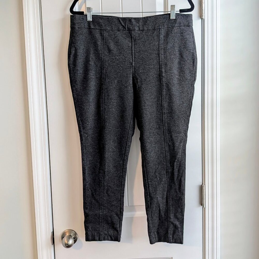 Anne Klein XL Pull On Stretch Ankle Gray Skinny Pants 24" Inseam